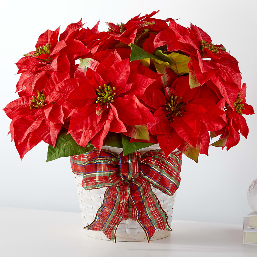 Happiest Holidays Poinsettia – GOOSEBERRIES FLOWER SHOP BY BERKOT'S, Twin Lakes WI
