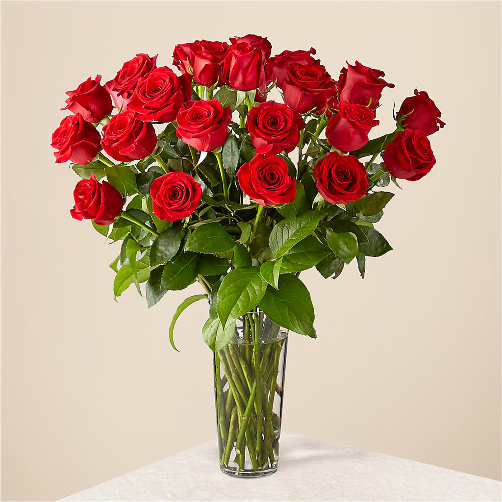 Long Stem Red Rose Bouquet – GOOSEBERRIES FLOWER SHOP BY BERKOT'S, Twin Lakes WI