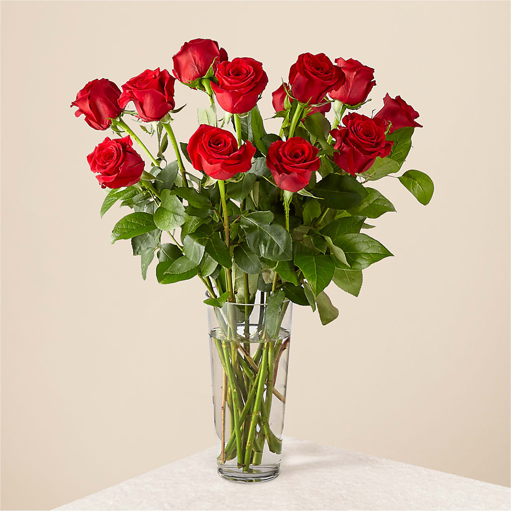 Long Stem Red Rose Bouquet – GOOSEBERRIES FLOWER SHOP BY BERKOT'S, Twin Lakes WI