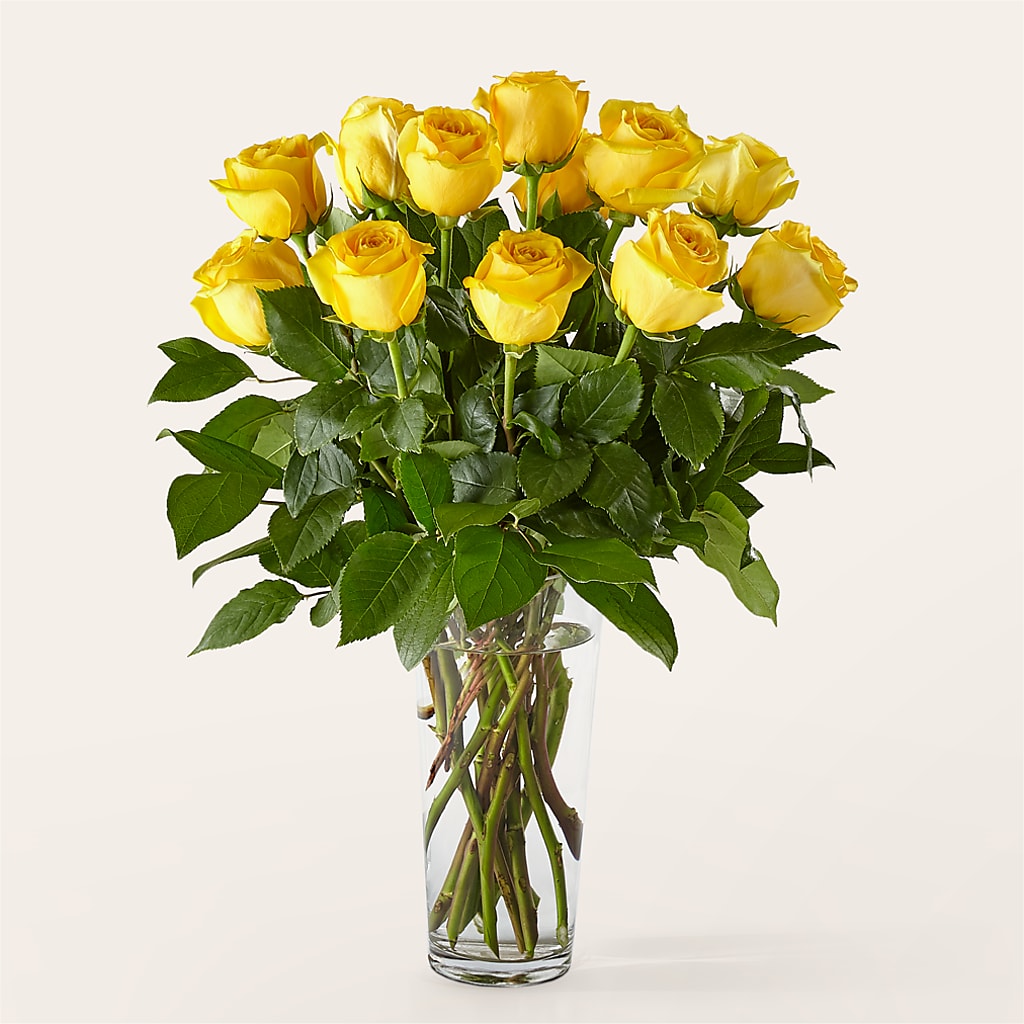 Long Stem Yellow Rose Bouquet – GOOSEBERRIES FLOWER SHOP BY BERKOT'S, Twin Lakes WI