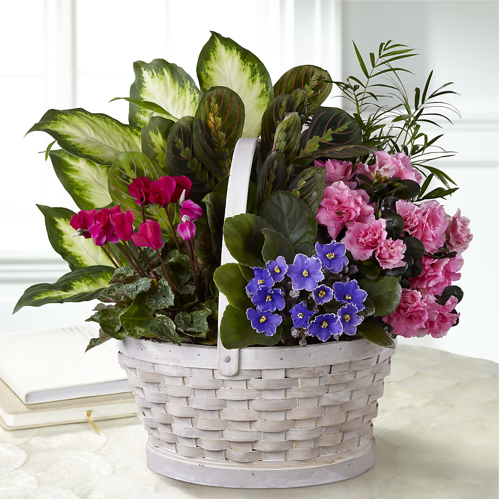 Peaceful Garden Planter – GOOSEBERRIES FLOWER SHOP BY BERKOT'S, Twin Lakes WI
