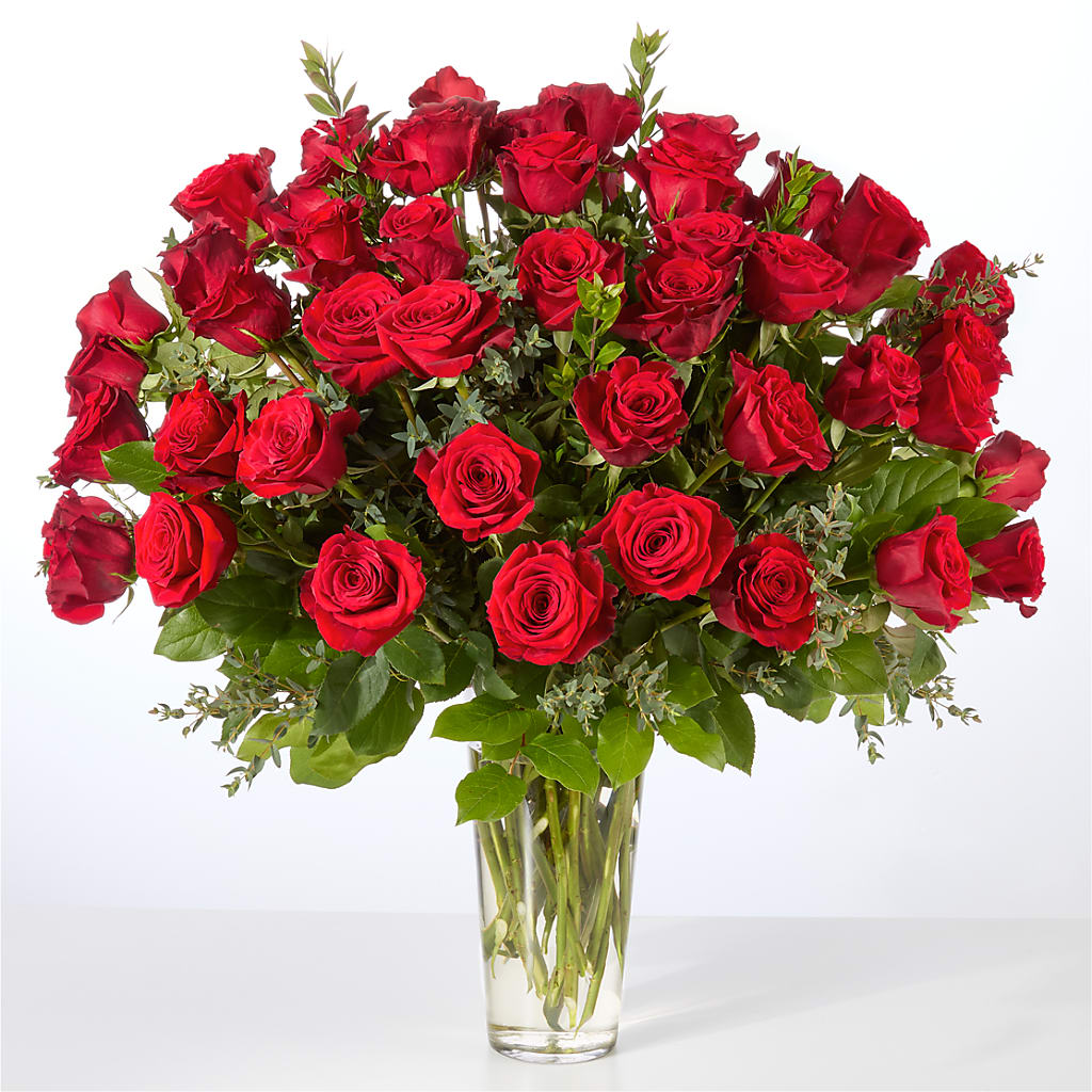 Forever Yours Fifty Stem Red Rose Bouquet – GOOSEBERRIES FLOWER SHOP BY BERKOT'S, Twin Lakes WI