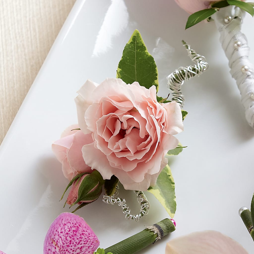 Pink Spray Rose Boutonniere – GOOSEBERRIES FLOWER SHOP BY BERKOT'S, Twin Lakes WI