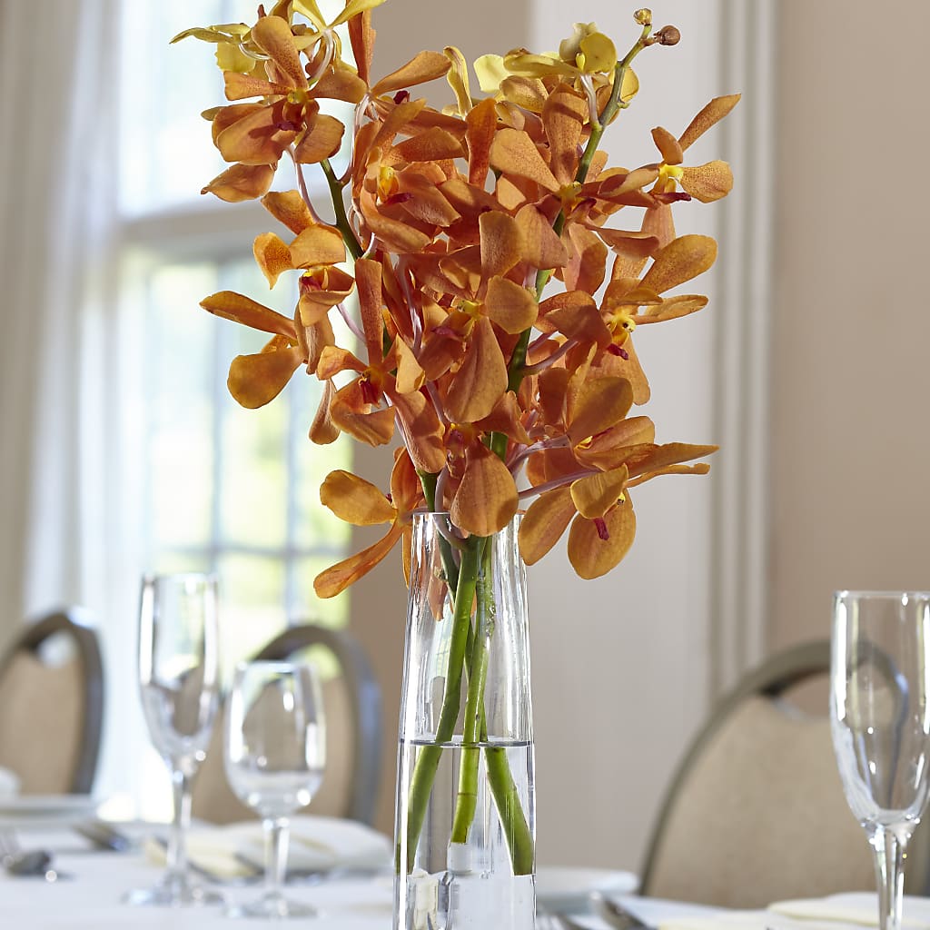 Orange Mokara Bud Vase – GOOSEBERRIES FLOWER SHOP BY BERKOT'S, Twin Lakes WI
