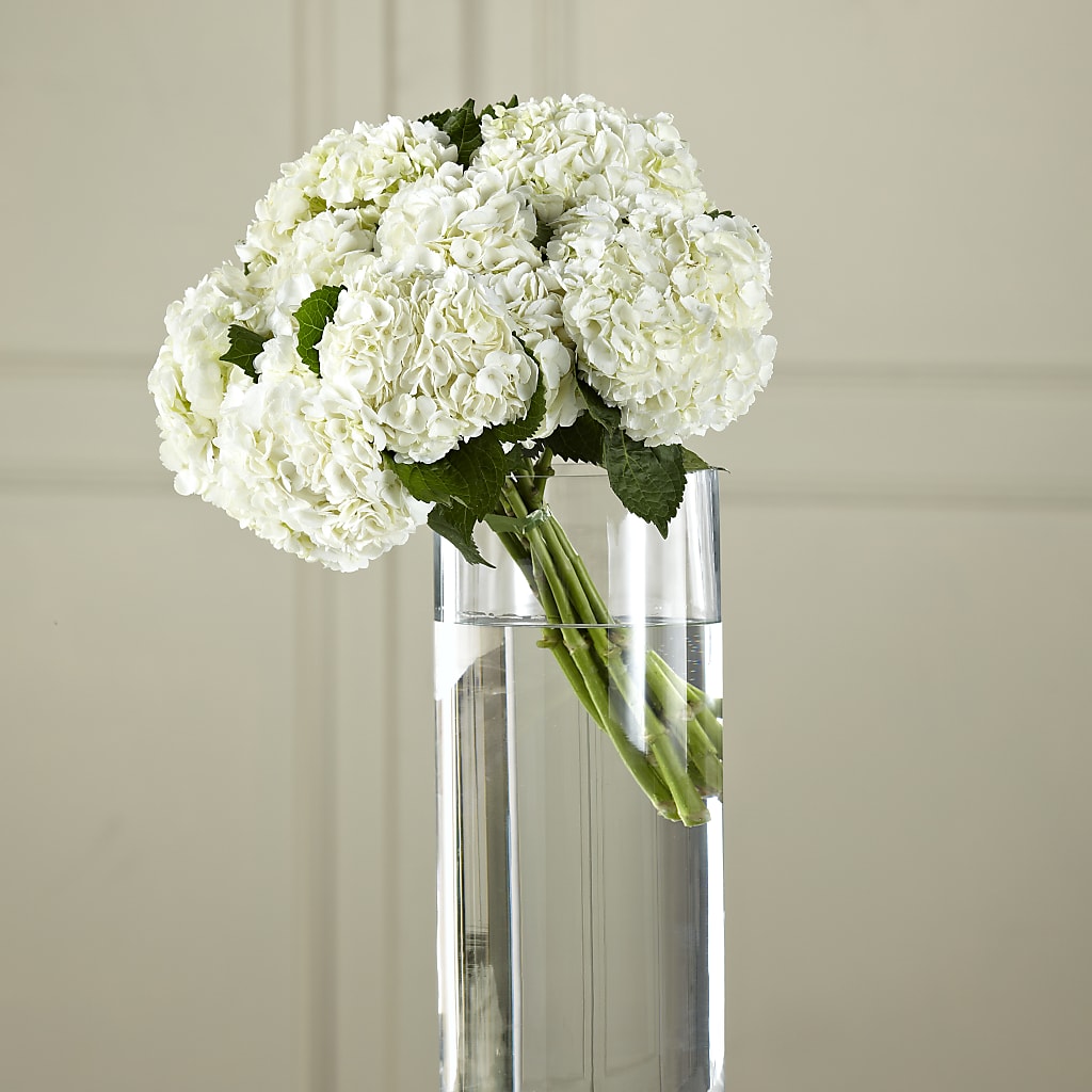 White Hydrangea Hand-Tied Bouquet – GOOSEBERRIES FLOWER SHOP BY BERKOT'S, Twin Lakes WI