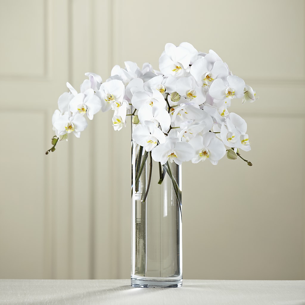 White Phalaenopsis Bouquet – GOOSEBERRIES FLOWER SHOP BY BERKOT'S, Twin Lakes WI