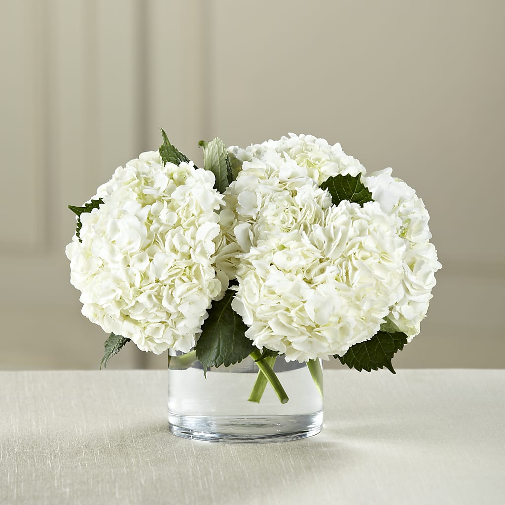 White Hydrangea Bouquet – GOOSEBERRIES FLOWER SHOP BY BERKOT'S, Twin Lakes WI