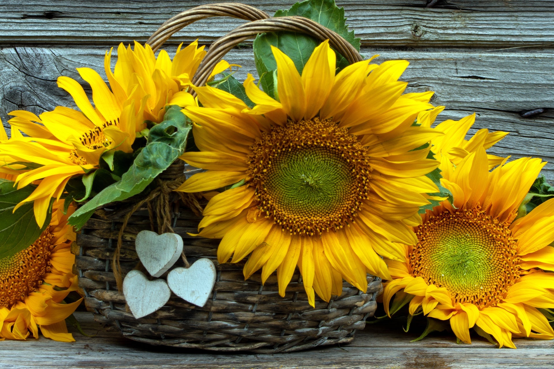 Shop by Flower Type | Gooseberries Flower Shop By Berkot's Twin Lakes