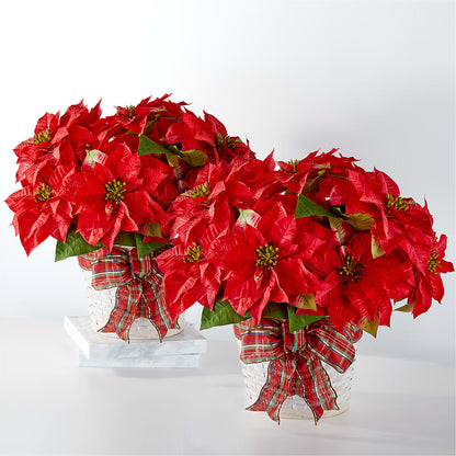 Happiest Holidays Poinsettia Bundle – GOOSEBERRIES FLOWER SHOP BY BERKOT'S, Twin Lakes WI