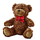 Adorable Plush Bear – GOOSEBERRIES FLOWER SHOP BY BERKOT'S, Twin Lakes WI