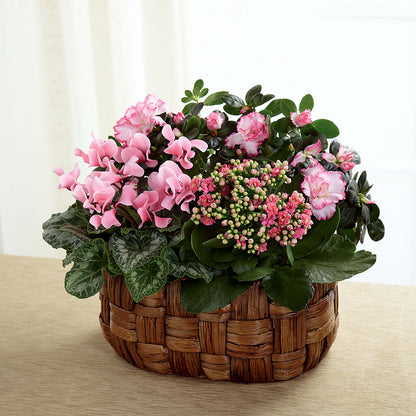 Pink Assortment – GOOSEBERRIES FLOWER SHOP BY BERKOT'S, Twin Lakes WI