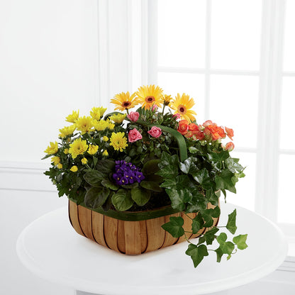 Gentle Blossoms Basket – GOOSEBERRIES FLOWER SHOP BY BERKOT'S, Twin Lakes WI