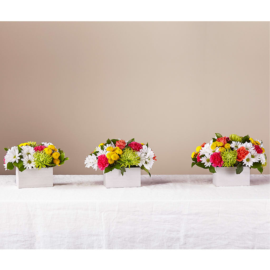 Sorbet Bouquet – GOOSEBERRIES FLOWER SHOP BY BERKOT'S, Twin Lakes WI