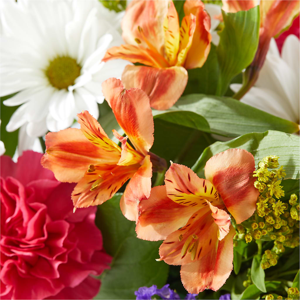 Oopsie Daisy Box Bouquet – GOOSEBERRIES FLOWER SHOP BY BERKOT'S, Twin Lakes WI
