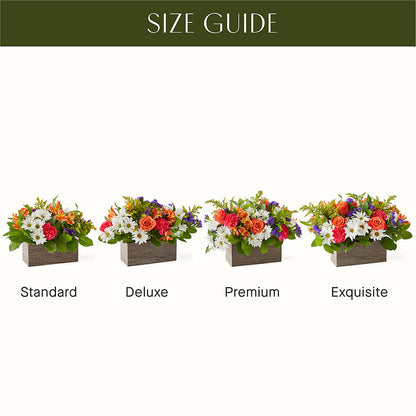 Oopsie Daisy Box Bouquet – GOOSEBERRIES FLOWER SHOP BY BERKOT'S, Twin Lakes WI