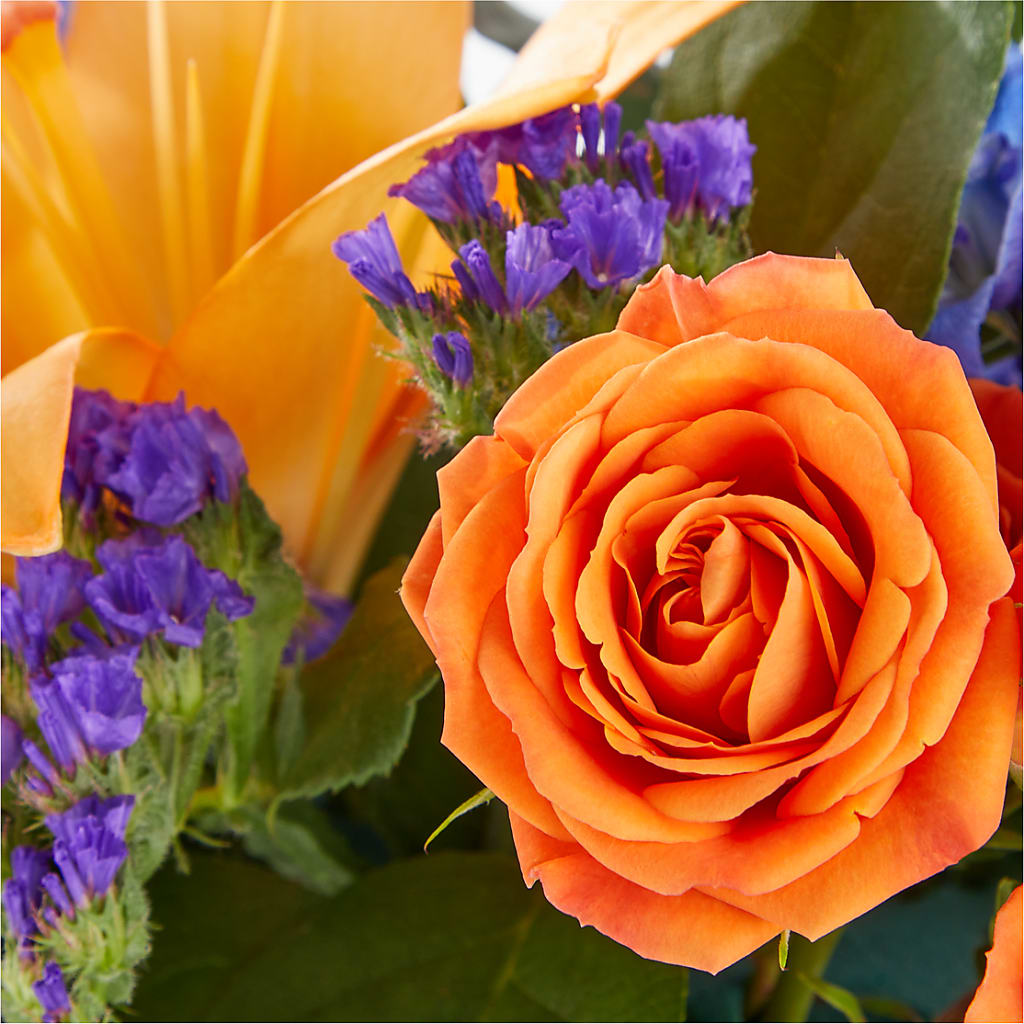 Radiant Citrus Box Bouquet – GOOSEBERRIES FLOWER SHOP BY BERKOT'S, Twin Lakes WI