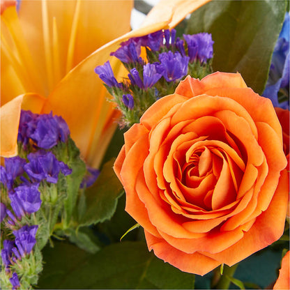 Radiant Citrus Box Bouquet – GOOSEBERRIES FLOWER SHOP BY BERKOT'S, Twin Lakes WI