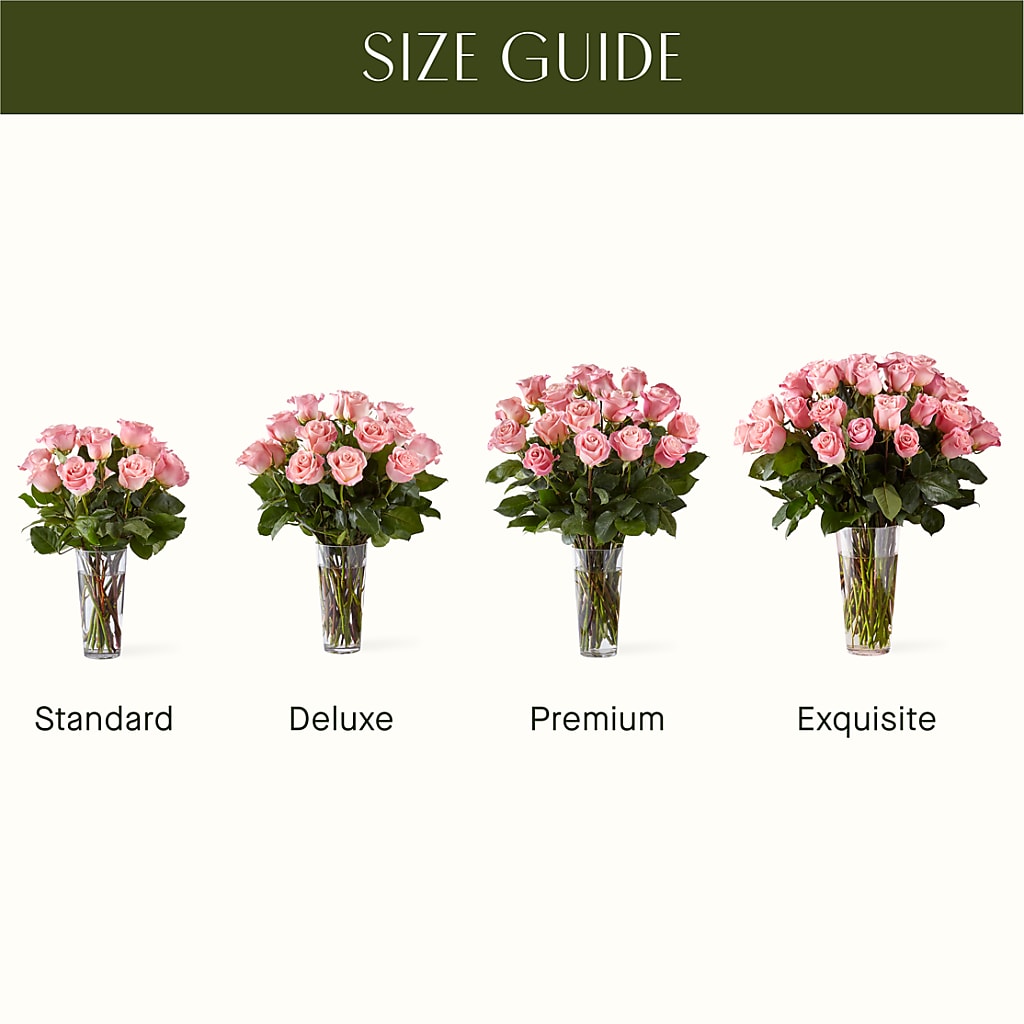 Long Stem Pink Rose Bouquet – GOOSEBERRIES FLOWER SHOP BY BERKOT'S, Twin Lakes WI