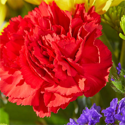 Brighter Days Bouquet – GOOSEBERRIES FLOWER SHOP BY BERKOT'S, Twin Lakes WI