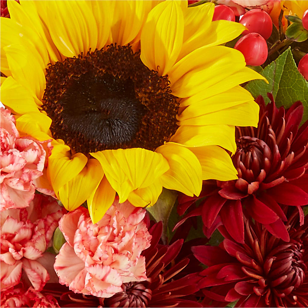 Fresh Cider Bouquet – GOOSEBERRIES FLOWER SHOP BY BERKOT'S, Twin Lakes WI