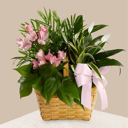 Living Spirit Dishgarden – GOOSEBERRIES FLOWER SHOP BY BERKOT'S, Twin Lakes WI