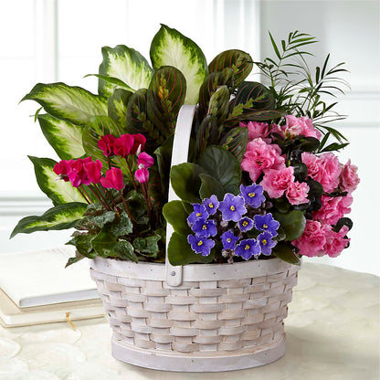 Peaceful Garden Planter – GOOSEBERRIES FLOWER SHOP BY BERKOT'S, Twin Lakes WI