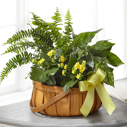 Always Dear Dishgarden – GOOSEBERRIES FLOWER SHOP BY BERKOT'S, Twin Lakes WI
