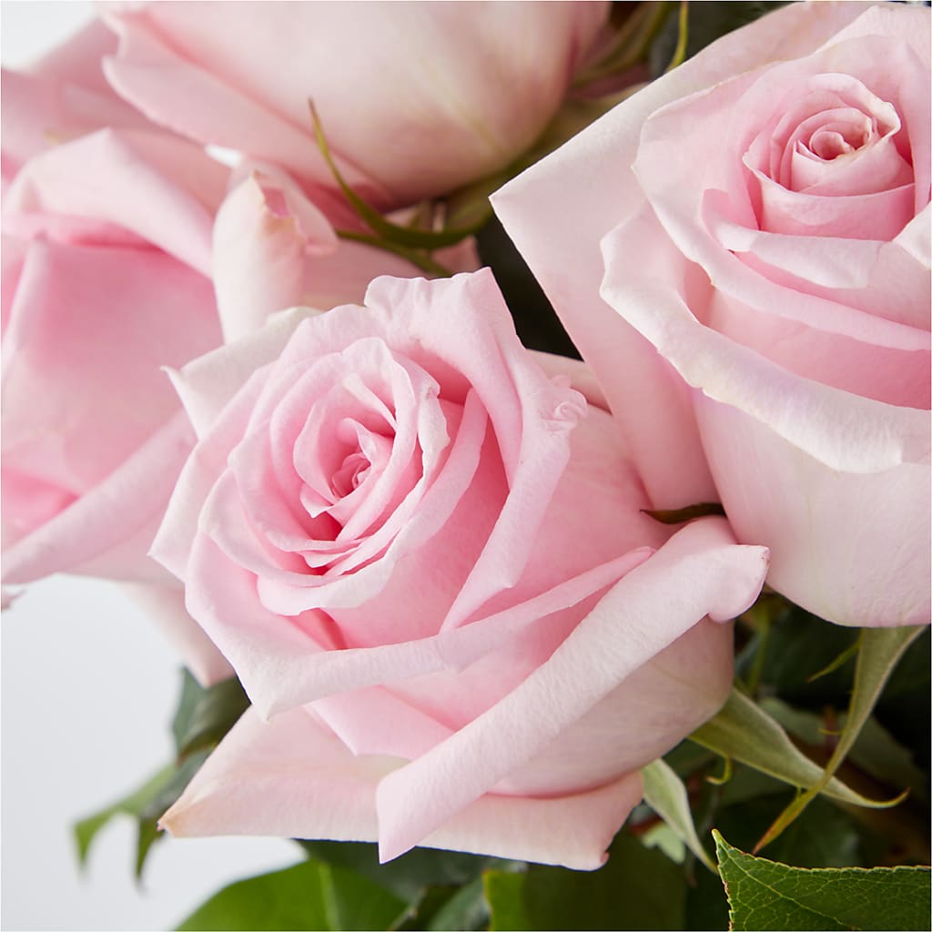 Picture Perfect Pink Rose Bouquet – GOOSEBERRIES FLOWER SHOP BY BERKOT'S, Twin Lakes WI
