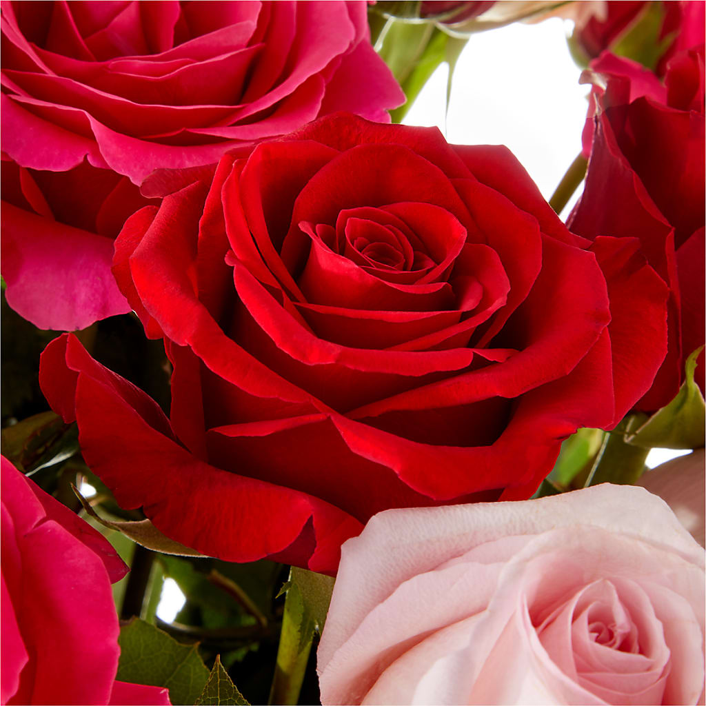Love Notes Rose Bouquet – GOOSEBERRIES FLOWER SHOP BY BERKOT'S, Twin Lakes WI