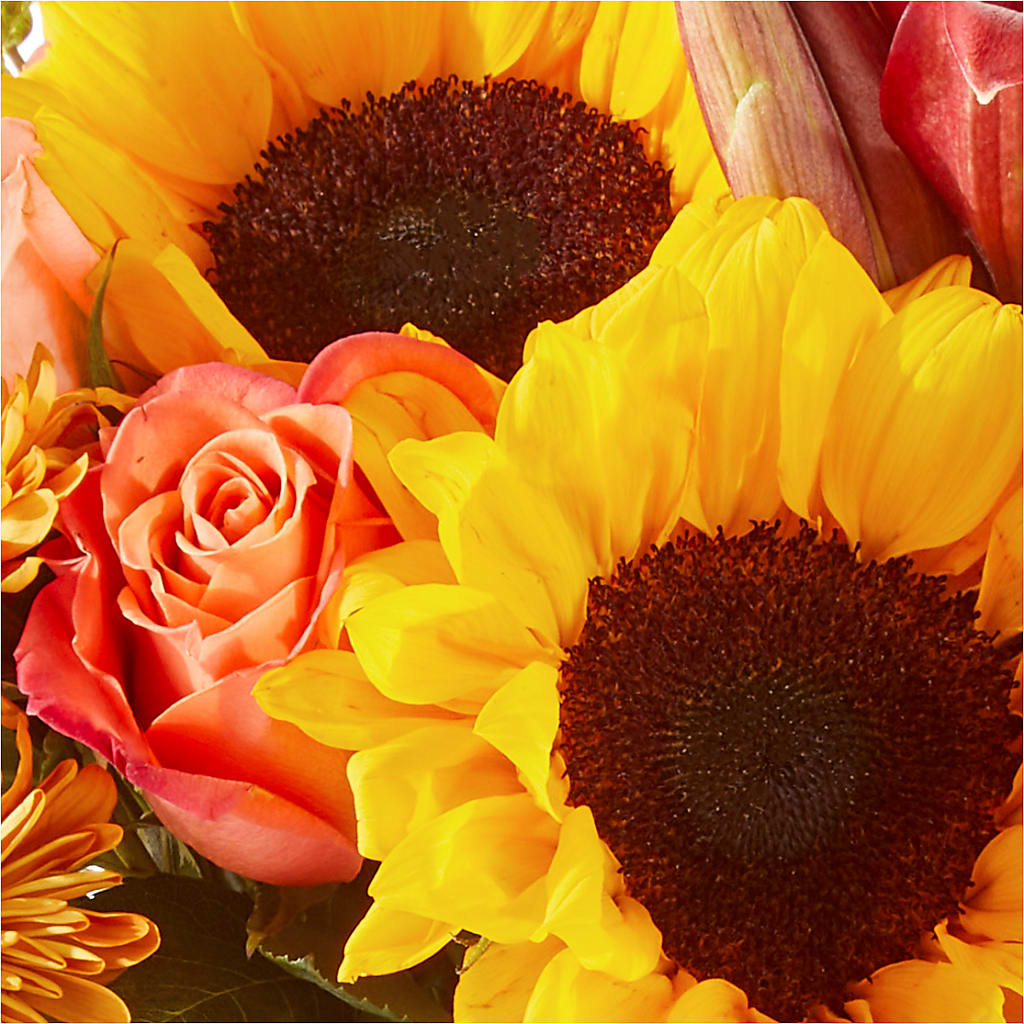 Acorn Lane Bouquet – GOOSEBERRIES FLOWER SHOP BY BERKOT'S, Twin Lakes WI