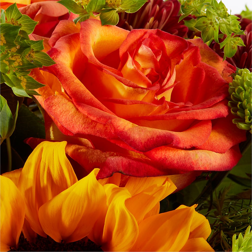 Harvest Festival Bouquet – GOOSEBERRIES FLOWER SHOP BY BERKOT'S, Twin Lakes WI