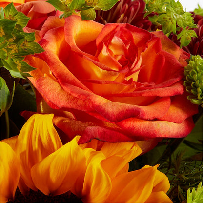 Harvest Festival Bouquet – GOOSEBERRIES FLOWER SHOP BY BERKOT'S, Twin Lakes WI