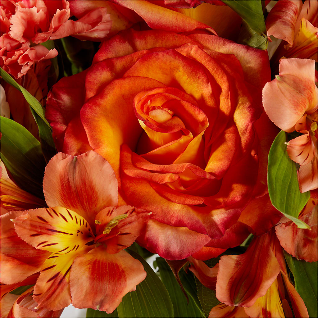 Apricot Glow Bouquet – GOOSEBERRIES FLOWER SHOP BY BERKOT'S, Twin Lakes WI