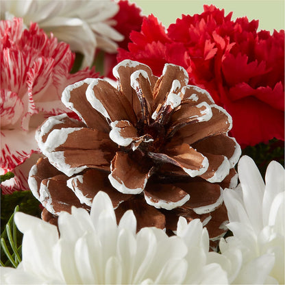Candy Cane Lane Bouquet – GOOSEBERRIES FLOWER SHOP BY BERKOT'S, Twin Lakes WI