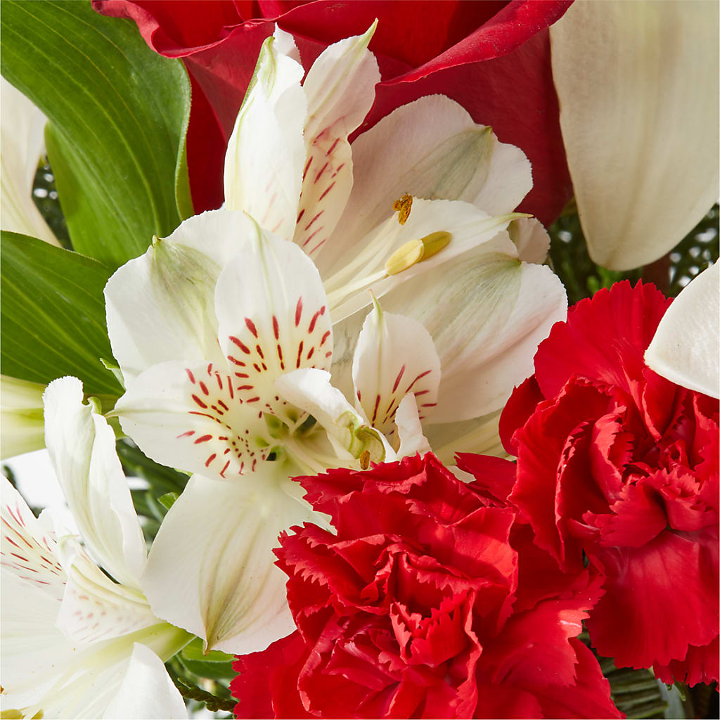 Holiday Season Bouquet – GOOSEBERRIES FLOWER SHOP BY BERKOT'S, Twin Lakes WI