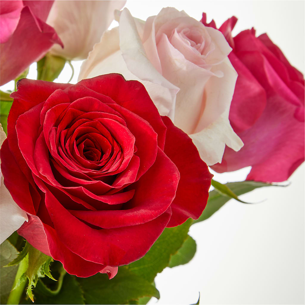 Charming Rose Bouquet – GOOSEBERRIES FLOWER SHOP BY BERKOT'S, Twin Lakes WI