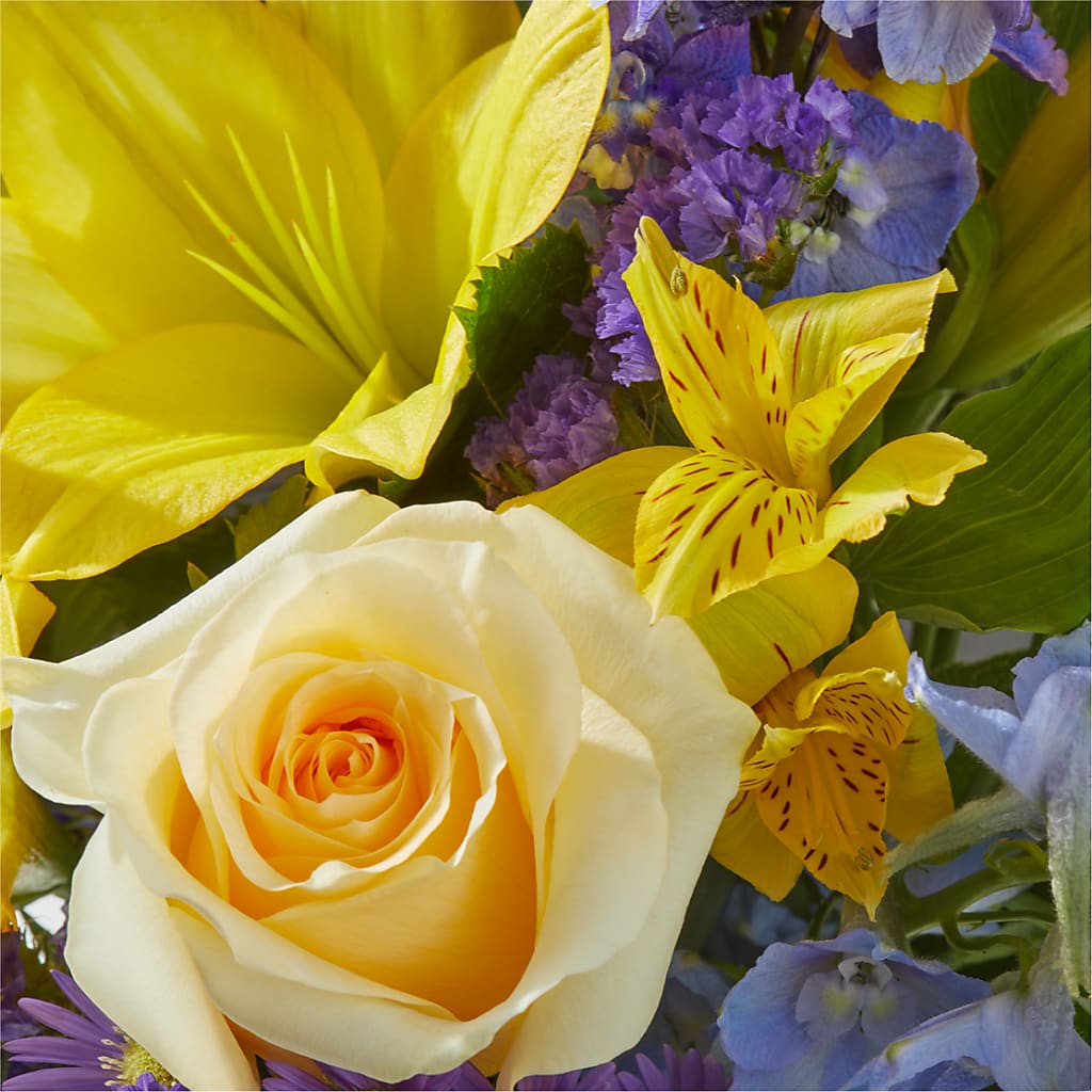 Limoncello Bouquet – GOOSEBERRIES FLOWER SHOP BY BERKOT'S, Twin Lakes WI