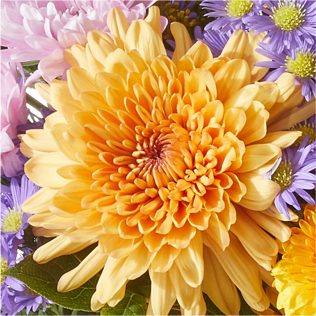 Countryside Bouquet – GOOSEBERRIES FLOWER SHOP BY BERKOT'S, Twin Lakes WI