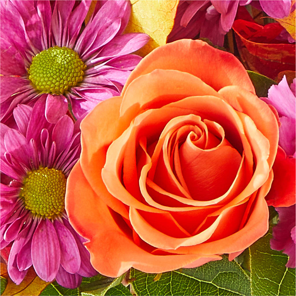 Mum's the Word Bouquet – GOOSEBERRIES FLOWER SHOP BY BERKOT'S, Twin Lakes WI