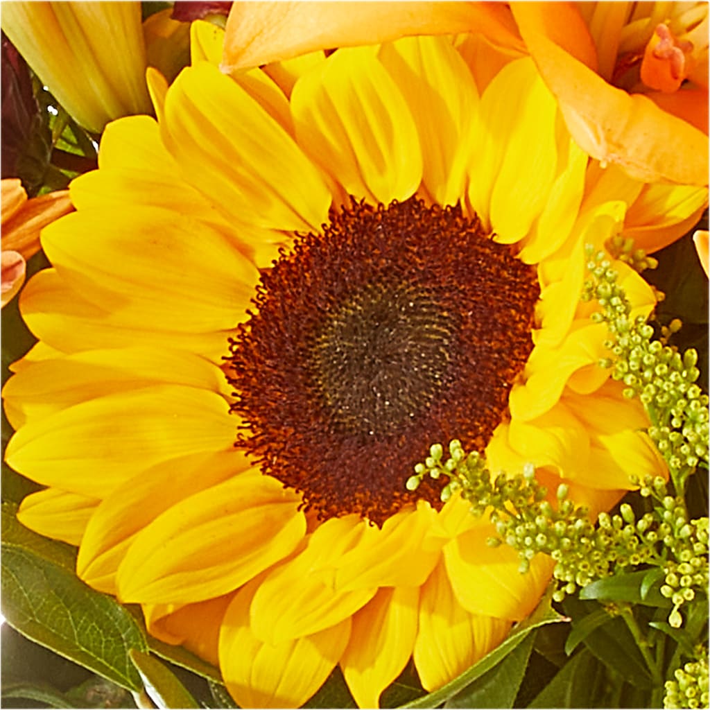 Seasons Change Bouquet – GOOSEBERRIES FLOWER SHOP BY BERKOT'S, Twin Lakes WI