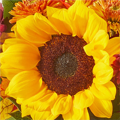 Sunny Side Bouquet – GOOSEBERRIES FLOWER SHOP BY BERKOT'S, Twin Lakes WI