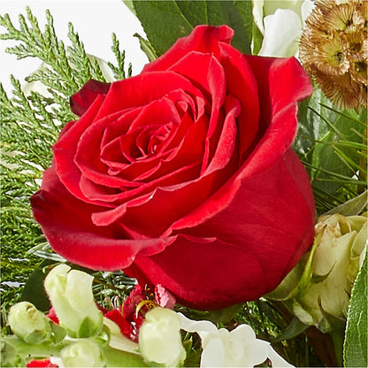Deck the Halls Bouquet – GOOSEBERRIES FLOWER SHOP BY BERKOT'S, Twin Lakes WI