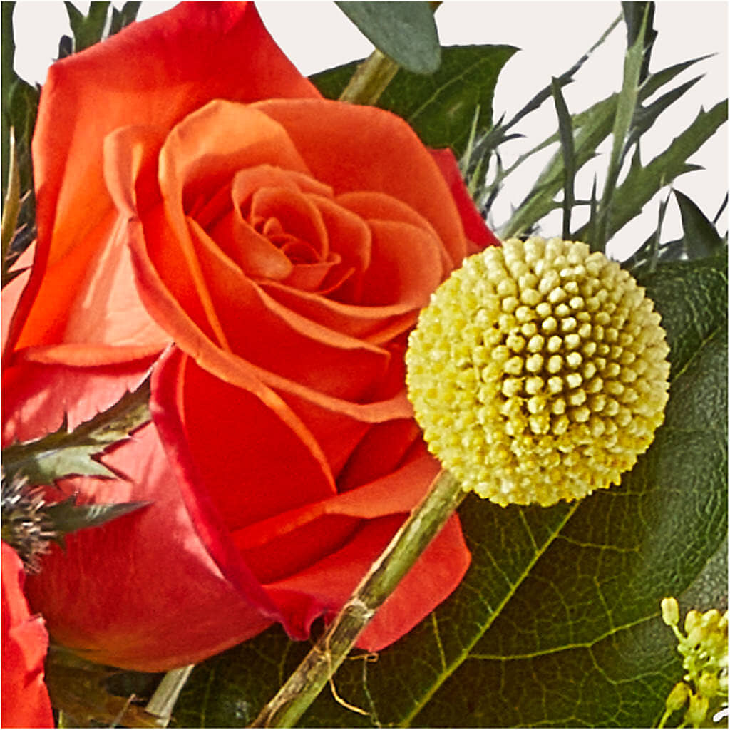 Disco Bouquet – GOOSEBERRIES FLOWER SHOP BY BERKOT'S, Twin Lakes WI
