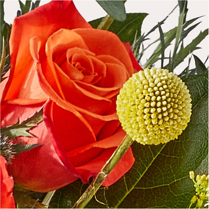 Disco Bouquet – GOOSEBERRIES FLOWER SHOP BY BERKOT'S, Twin Lakes WI