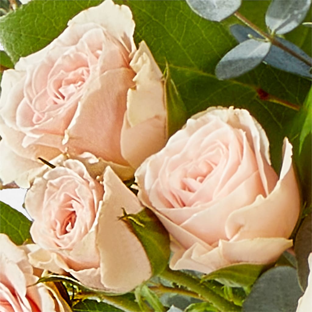 Inspired Bouquet – GOOSEBERRIES FLOWER SHOP BY BERKOT'S, Twin Lakes WI