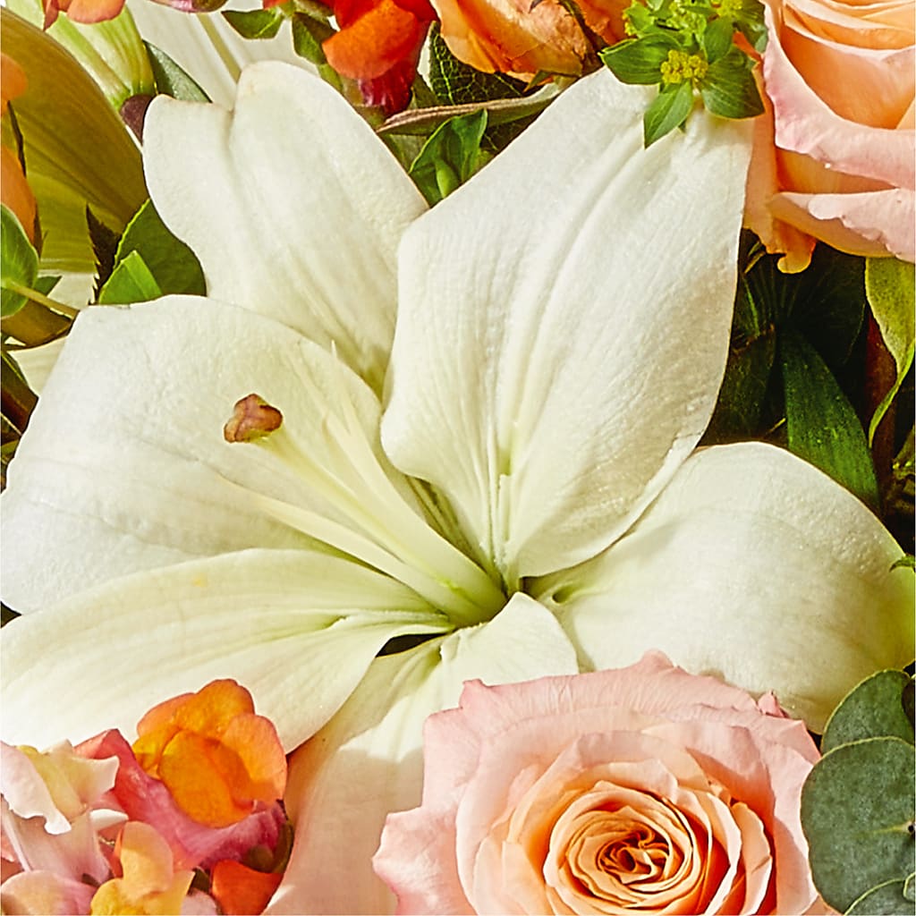 Grapefruit Splash Bouquet – GOOSEBERRIES FLOWER SHOP BY BERKOT'S, Twin Lakes WI