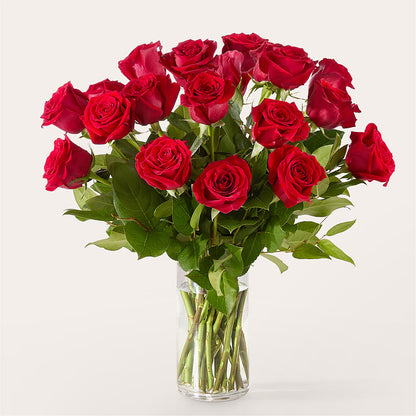 The One Red Rose Bouquet – GOOSEBERRIES FLOWER SHOP BY BERKOT'S, Twin Lakes WI