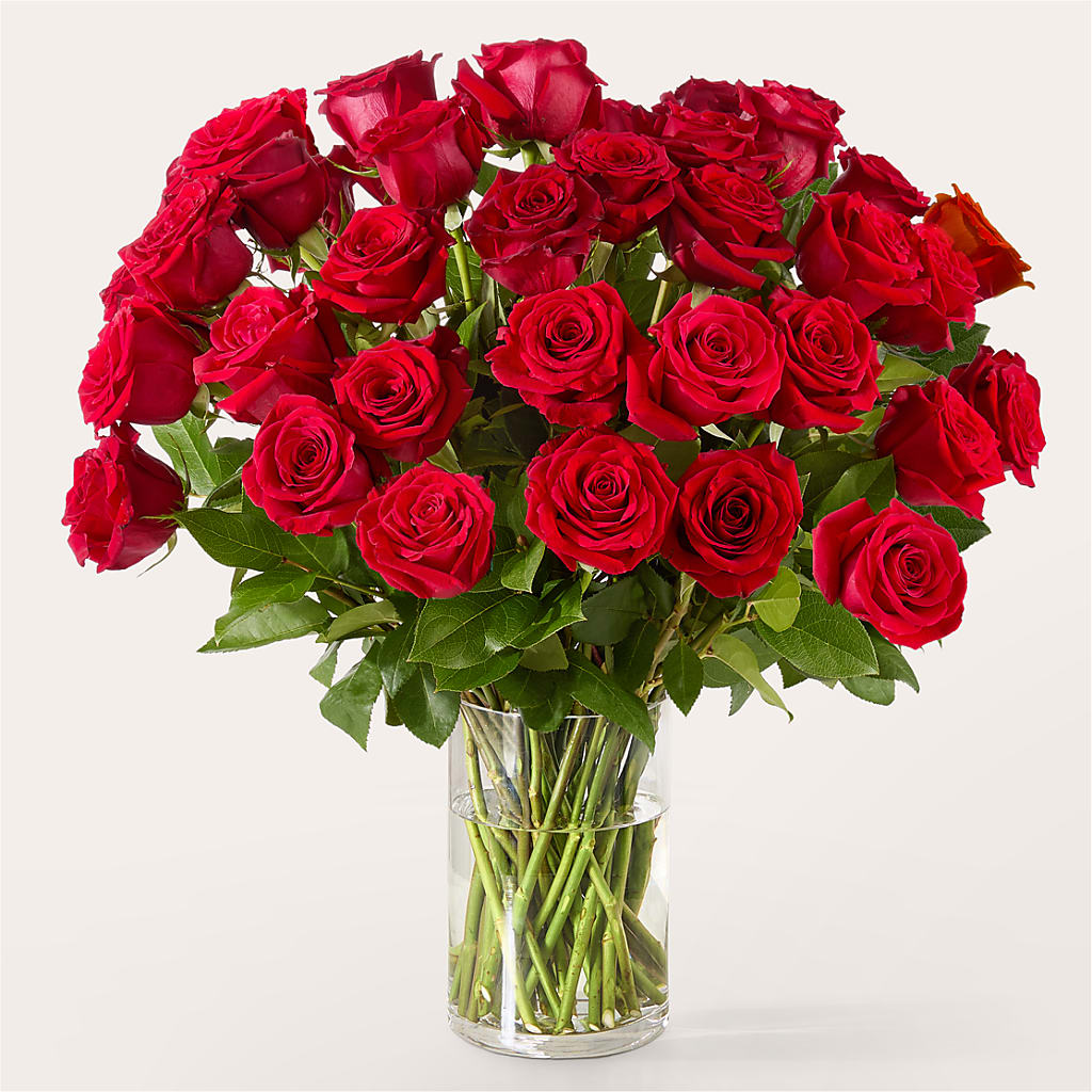 The One Red Rose Bouquet – GOOSEBERRIES FLOWER SHOP BY BERKOT'S, Twin Lakes WI