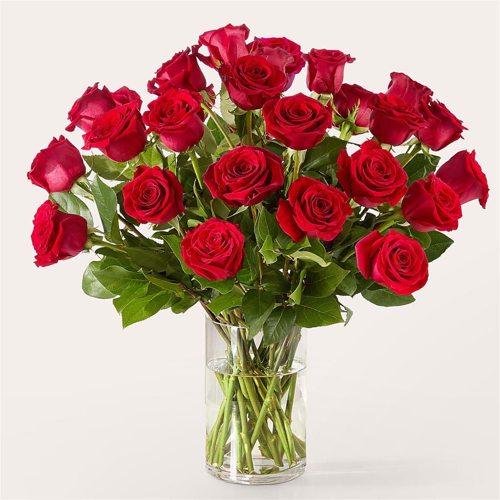 The One Red Rose Bouquet – GOOSEBERRIES FLOWER SHOP BY BERKOT'S, Twin Lakes WI