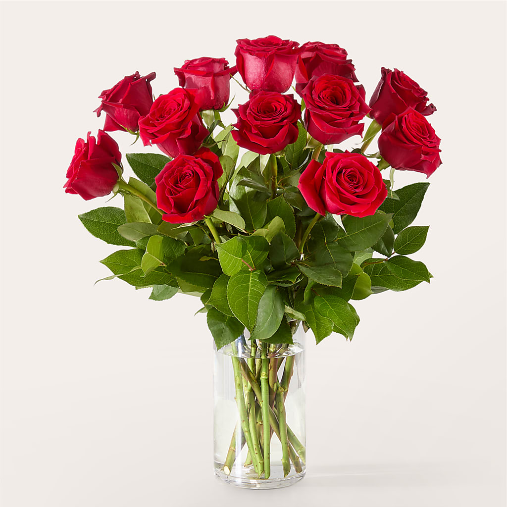 The One Red Rose Bouquet – GOOSEBERRIES FLOWER SHOP BY BERKOT'S, Twin Lakes WI